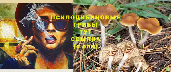 спиды Верея