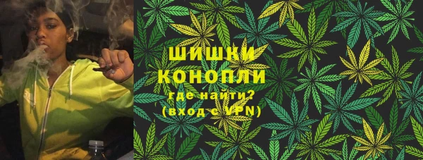 спиды Верея