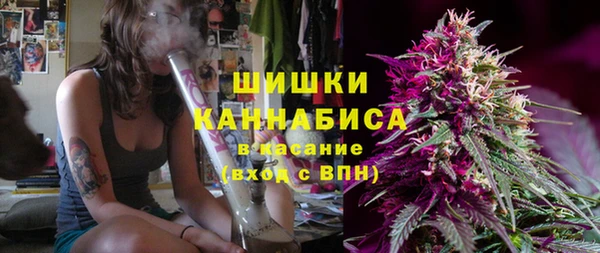 спиды Верея